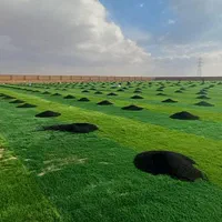 بورس چمن مصنوعی فوتبالی|مصالح و تجهیزات ساختمان|تهران, دهکده المپیک|دیوار