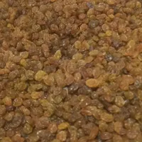 فروش کشمش