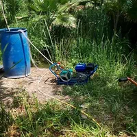 محوطه سازی.هرس گل و نهال .شخم.علف زنی.سم زنی|خدمات باغبانی و درختکاری|رشت, آزادگان|دیوار