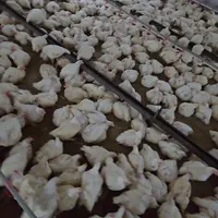 کارگر مرغداری