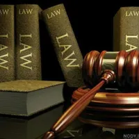 وکیل پایه یک دادگستری و مشاور حقوقی (خانم)