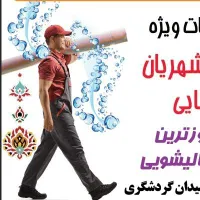 قالیشوی کیارش