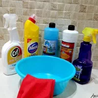 شرکت نظافتی پاکرویان