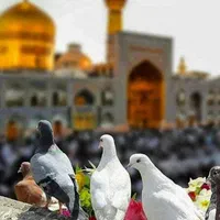تورهای داخلی کیش قشم مشهد|تور و چارتر|تهران, یوسف‌آباد|دیوار