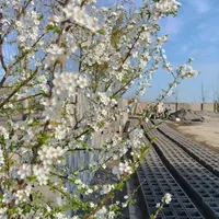 کارگر ساده بلوک زنی