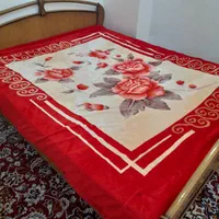 اجاره منزل دربست روزانه،هفتگی|اجارهٔ کوتاه‌مدت آپارتمان و سوئیت|قم, نیروگاه|دیوار