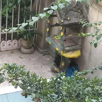 با امکانات کامل پارکینگدار،کولردار،درنخجیر|اجارهٔ کوتاه‌مدت آپارتمان و سوئیت|لاهیجان, لیالستان|دیوار
