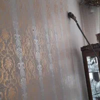 نقاشی ساختمان وطرح کاغذ دیواری|خدمات پیشه و مهارت|آبعلی, |دیوار