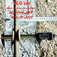 تحویل تیرچه باپروانه استانداردملی|مصالح و تجهیزات ساختمان|قم, کیوانفر|دیوار