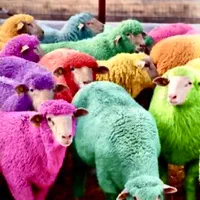 گوسفند فروشی به همراه قصاب و باسکول