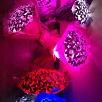 بوکت پروانه و دسته گل پروانه