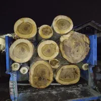 فروش خرید چوب درخت چوب سقفی تخته