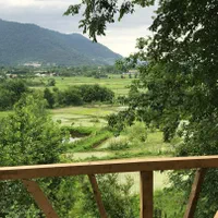 اجاره کلبه جنگلی|اجارهٔ کوتاه‌مدت ویلا و باغ|ماسال, |دیوار