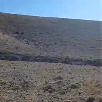 فروش  حدود۱۴۰ هکتار زمین و سوله سندار مهر اباد|فروش دفتر صنعتی، کشاورزی، تجاری|تهران, بوستان سرخه حصار|دیوار