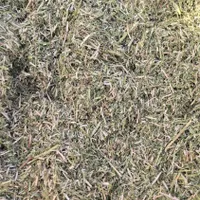 فروش یونجه