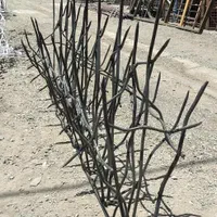 حفاظ روی دیوار|خدمات پیشه و مهارت|کاشان, فاز ۱ ناجی آباد|دیوار