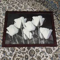 ۳ عدد قاب عکس|تابلو، نقاشی، عکس|اصفهان, وحید|دیوار