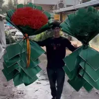 دسته گل بزرگ یک متری عروس ژیپسوفیلا|گل و گیاه طبیعی|اصفهان, دشتستان|دیوار