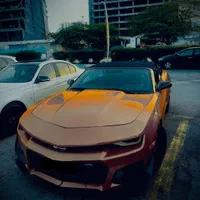 کامارو کروک /Camaro