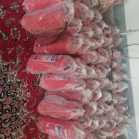 فروش و شارژ کپسول های آتش نشانی