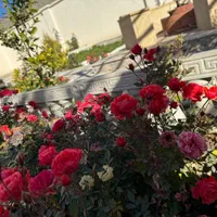 ۳۰۰ زمین چهار دیواری لوکیشن لاکچری سند دار|فروش زمین و ملک کلنگی|ورامین, ریحان آباد|دیوار