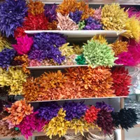 گل خشک دم روباهی کراس درشت