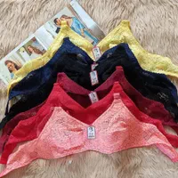 تولیدوپخش سوتین زیرنخ گیپوری