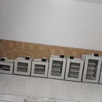 دستگاه جوجه کشی مدل t8