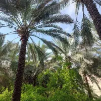 نیازمند کارگر ساده دارای دیپلم