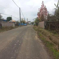 ۳۵۰ متر سندتک برگ روستای الکام لتوم شهر پره سر|فروش زمین و ملک کلنگی|پره‌سر, |دیوار