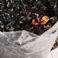 الیاف باز شده