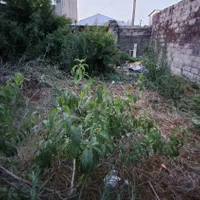 فروش معاوضه زمین/سندتکبرگ/خ آذربایجان/نزدیک دریا|فروش زمین و ملک کلنگی|بندر انزلی, آذربایجان|دیوار