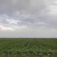 فروش ۱ هکتار زمین کشاورزی منطقه دشت آبی|فروش دفتر صنعتی، کشاورزی، تجاری|کرج, رجب‌آباد|دیوار