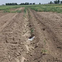 زمین باغی پویینک قرچک(سند تک برگ)|فروش زمین و ملک کلنگی|قرچک, پویینک|دیوار