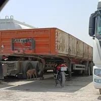 تریلی لبه دار سه محور مایان کوگل کرایه داده می شود
