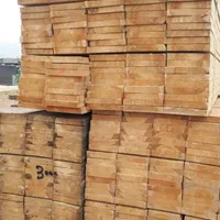 نردبان( مناسب برای انجام کارهای ساختمانی )|ابزارآلات|خرمشهر, |دیوار