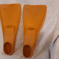 فین شنا می سی سی پی اصل