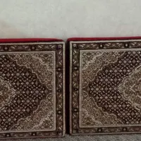 پشتی ریزه ماهی
