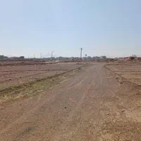 فروش ۶۵۰متر باغ شهر طالخونچه صحرای عبدل|فروش مغازه و غرفه|مبارکه, |دیوار
