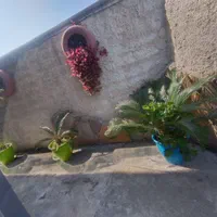 اجاره کوتاه مدت ویلا، سوئیت|اجارهٔ کوتاه‌مدت آپارتمان و سوئیت|چالوس, |دیوار