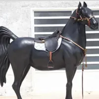 اسب و خر پیدا شده