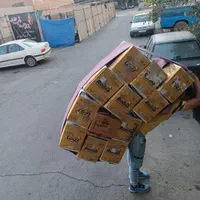 اتوبارآزادی بهبودی شادمان شهرآرا پاتریس گیشا توحید|خدمات حمل و نقل|تهران, شادمان|دیوار
