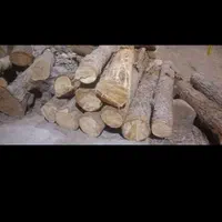 هرس درخت برش درخت خرید چوب