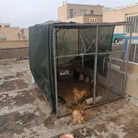 قفس پرنده|لوازم جانبی حیوانات|اصفهان, آبشار|دیوار