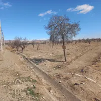 فروش زمین ۵۲۵ متری حاشیه جاده بنهنگ