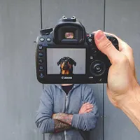 تولید محتوا + عکاسی و فیلمبرداری همایش