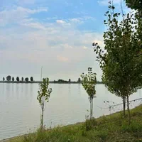 ویلافلت  ۱۱۰ متری  با سند تک برگ ،خوش اب و هوا|فروش خانه و ویلا|فریدون‌کنار, |دیوار