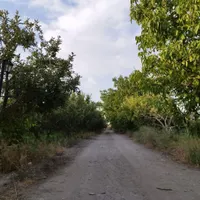 زمین باغ ویلا ۵۰۰مترسند آب برق گاز گل مکان گلستان|فروش زمین و ملک کلنگی|مشهد, وکیل‌آباد|دیوار