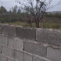 زمین مسکونی هزار متری در مرکیه بغل دریاچه شاهان|فروش زمین و ملک کلنگی|صومعه‌سرا, |دیوار