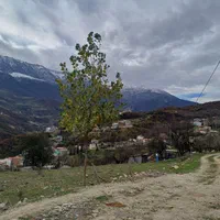 اجاره ویلا دوخواب در روستای زیارت(بام زیارت)|اجارهٔ کوتاه‌مدت ویلا و باغ|گرگان, |دیوار